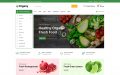 Organy - Grocery and Food Multipurpose Responsive WooCommerce Store