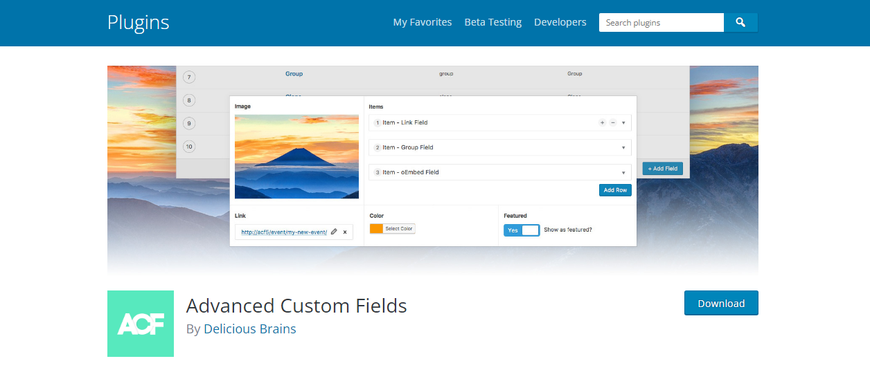 ACF - WordPress custom fields plugin