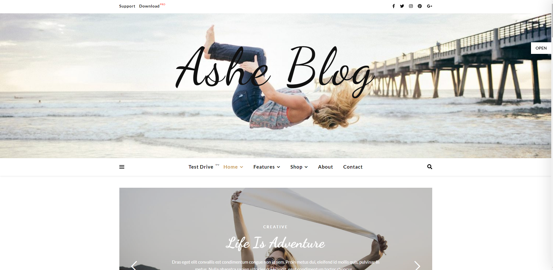 Ashe Blog - free WordPress blog themes
