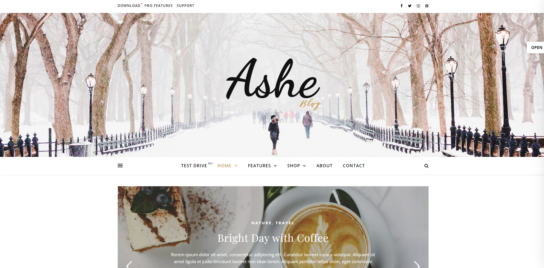 Ashe - feminine WordPress themes