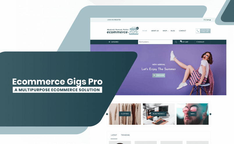 Ecommerce-Gigs-Pro