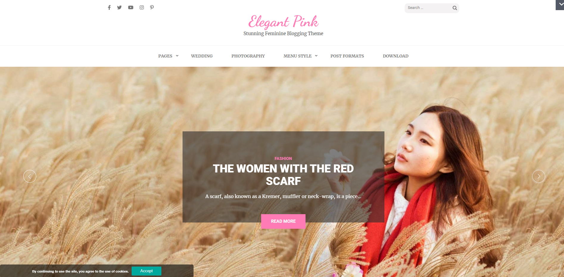 Elegant pink - feminine WordPress themes