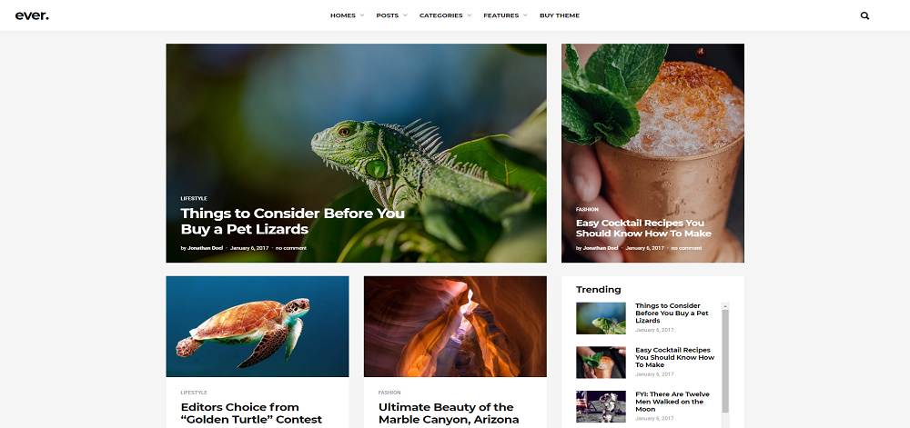 Ever-Beautiful-Clean-and-Simple-WordPress-Theme