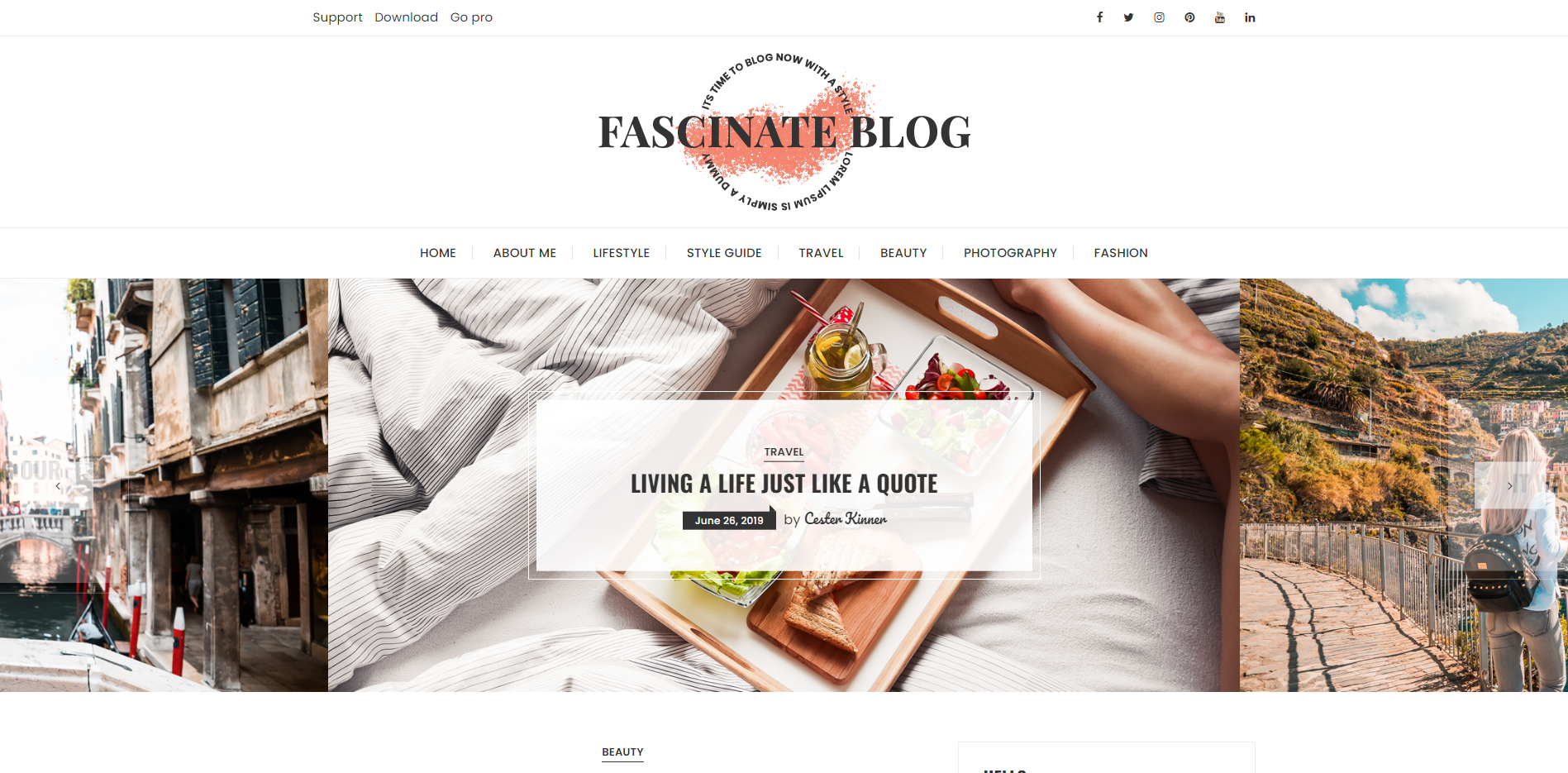 Fascinate - feminine WordPress themes