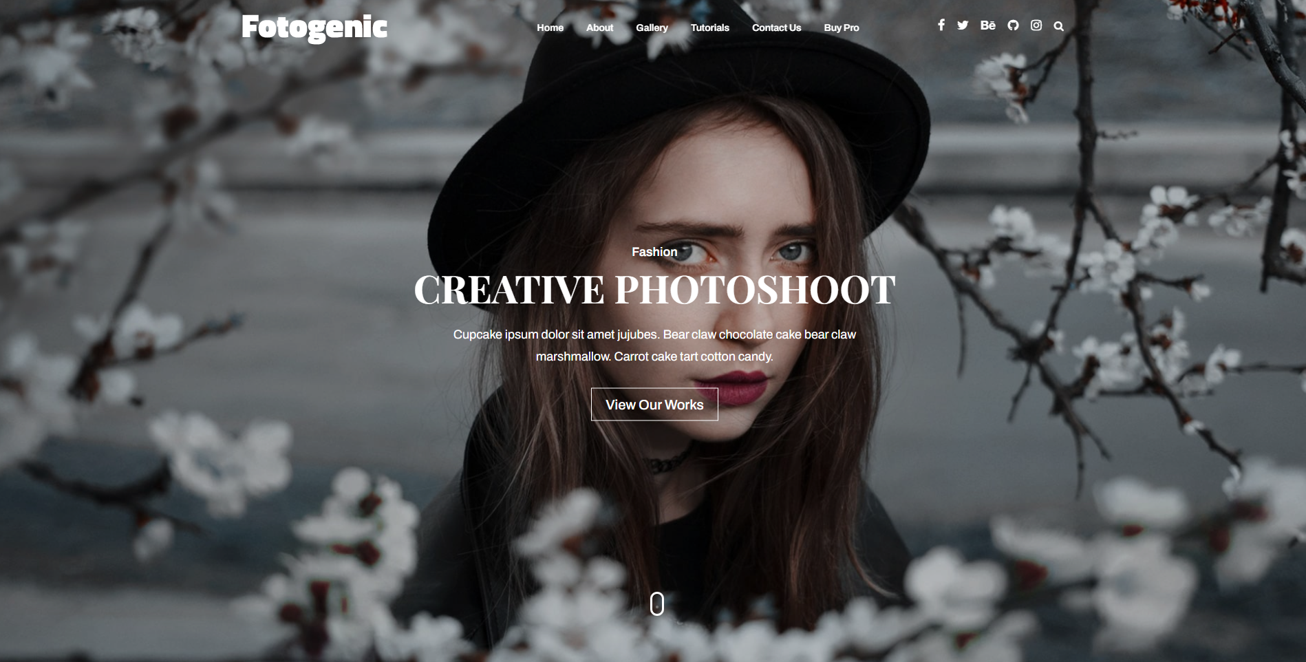 Fotogenic - Photography WordPress Themes