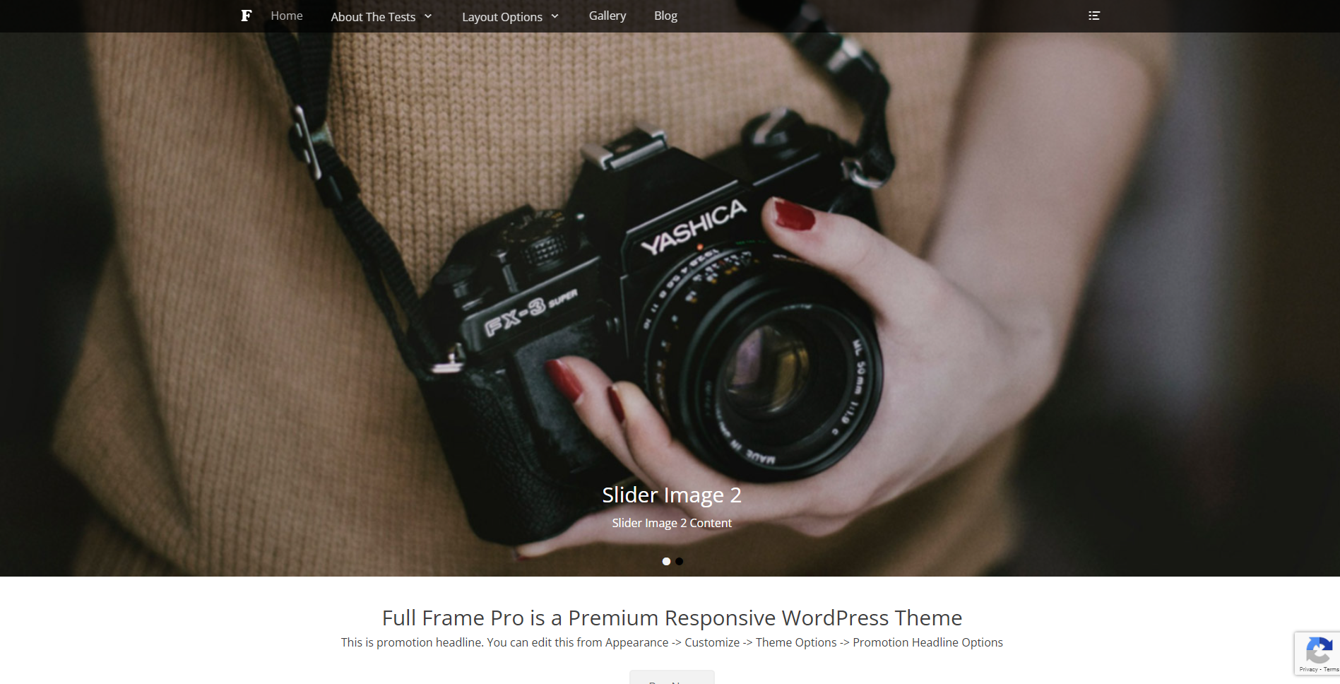 Full frame - Photography WordPress Themes