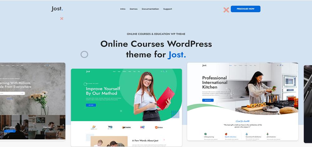 Jost-Coaching-Online-Course-WordPress-Theme