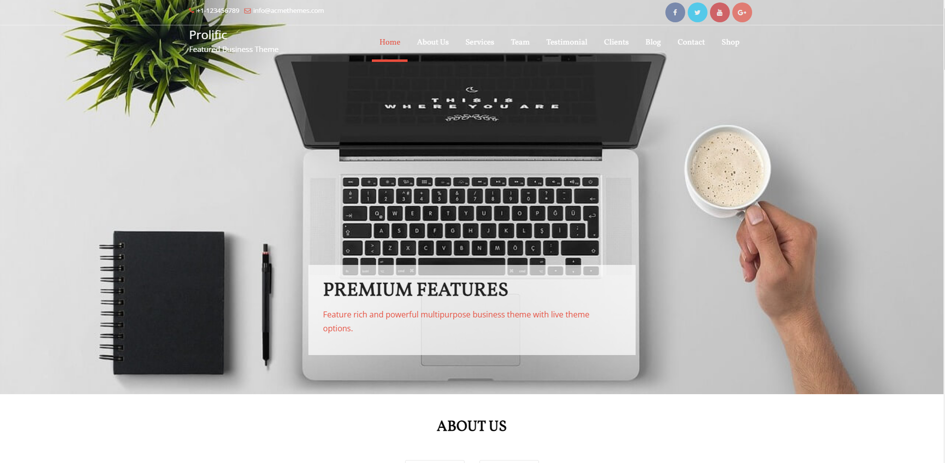 Prolific - one page WordPress themes