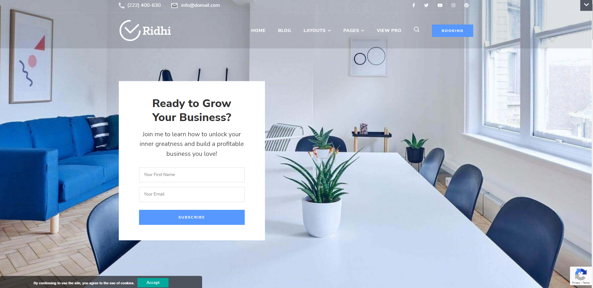 Ridhi - one page WordPress themes