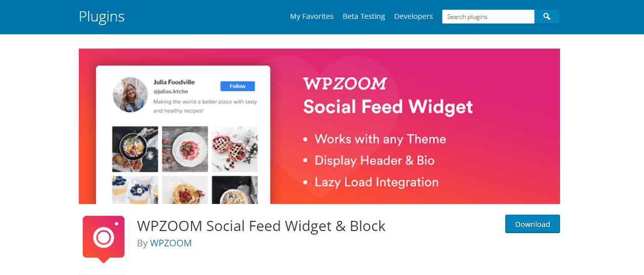WPZOOM - WordPress Instagram Feed Plugins