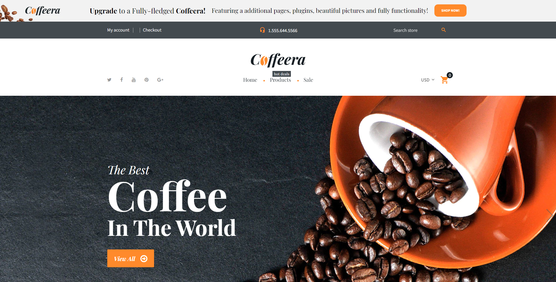 Coffeera - free shopify themes